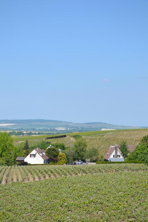 La Villa Champagne Ployez-Jacquemart Ludes Extérieur photo